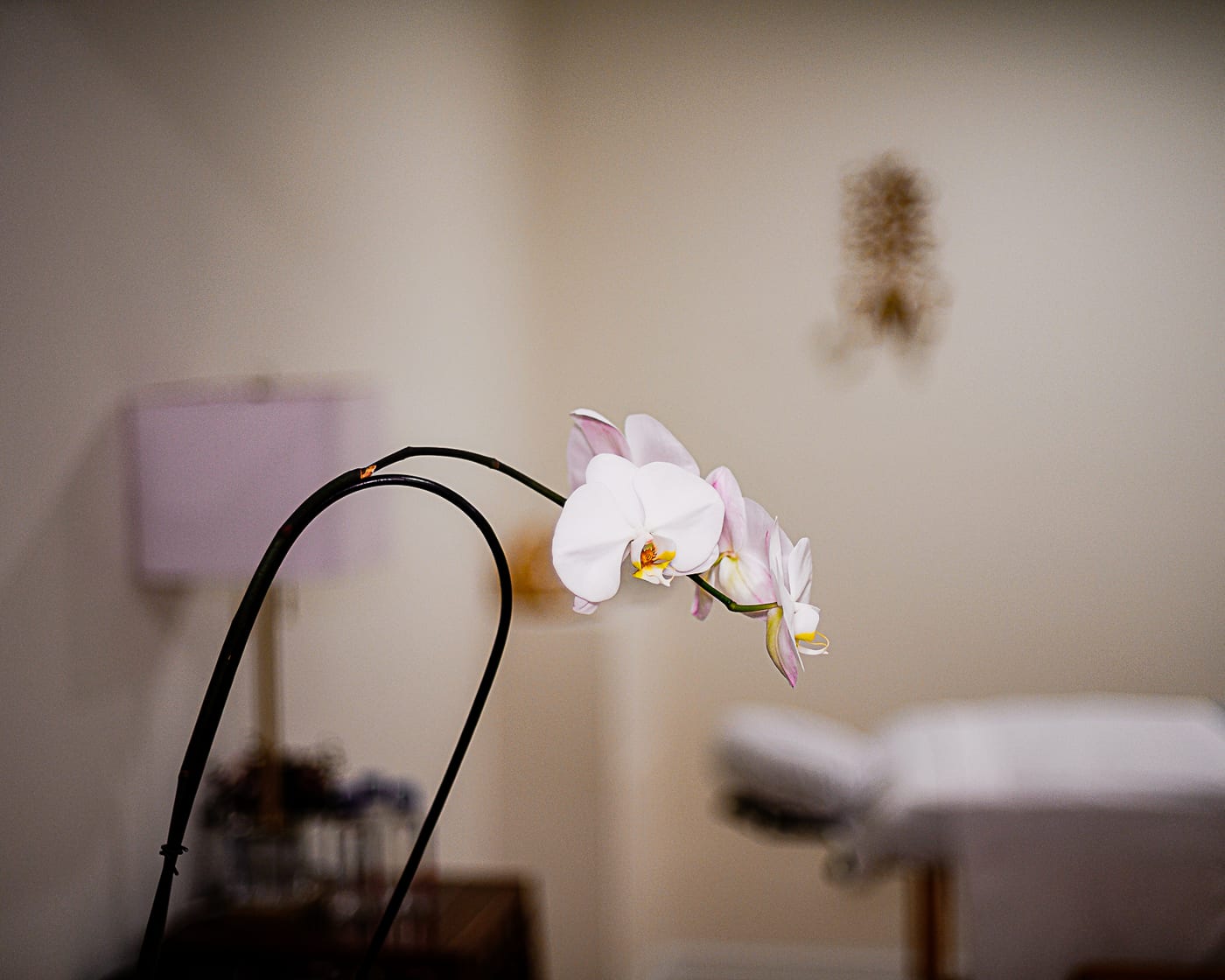 The studio: a white orchid arching over the foreground, with the massage table made up in clean linens and a lit lamp softly out of focus behind it.